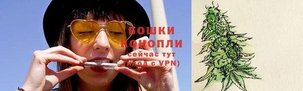мяу мяу кристалл Богданович