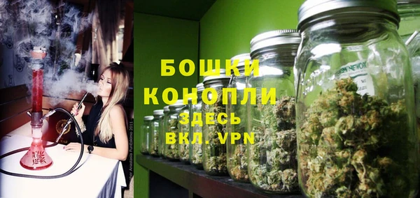 мяу мяу кристалл Богданович